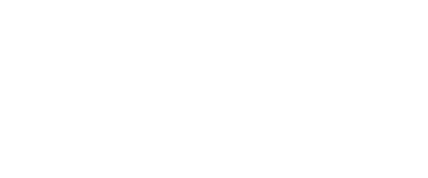 Item 1